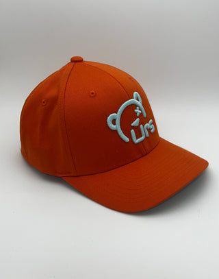 Hat: Urs Ball Cap