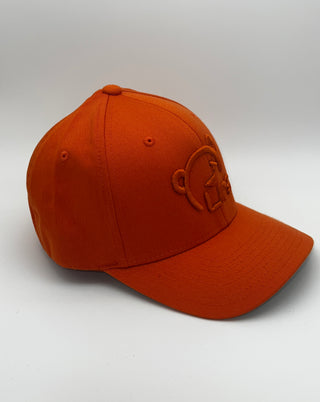Hat: Urs Ball Cap
