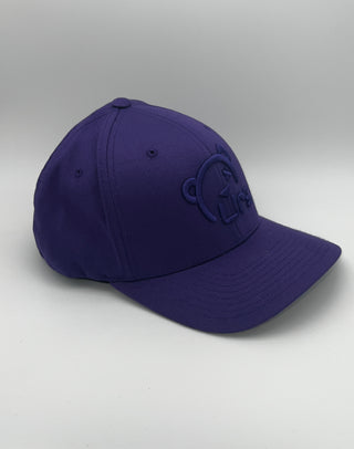 Hat: Urs Ball Cap